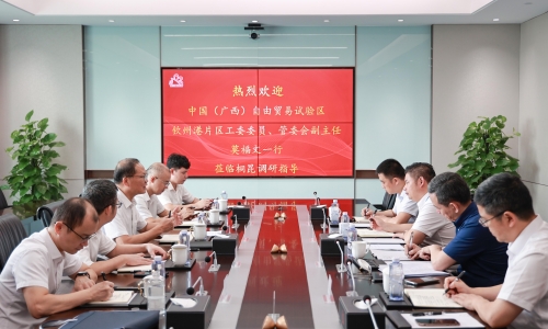 中国（广西）自由贸易试验区钦州港片区管理委员会副主任、党工委委员莫福文莅临桐昆调研