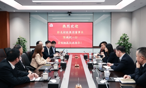 卧龙控股集团董事长陈嫣妮一行到访桐昆