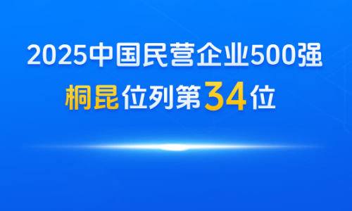 桐昆，中国民营企业500强第34位！
